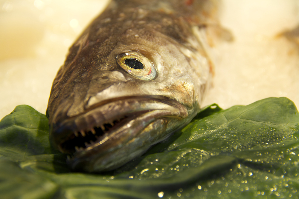 Pescado en Barcelona