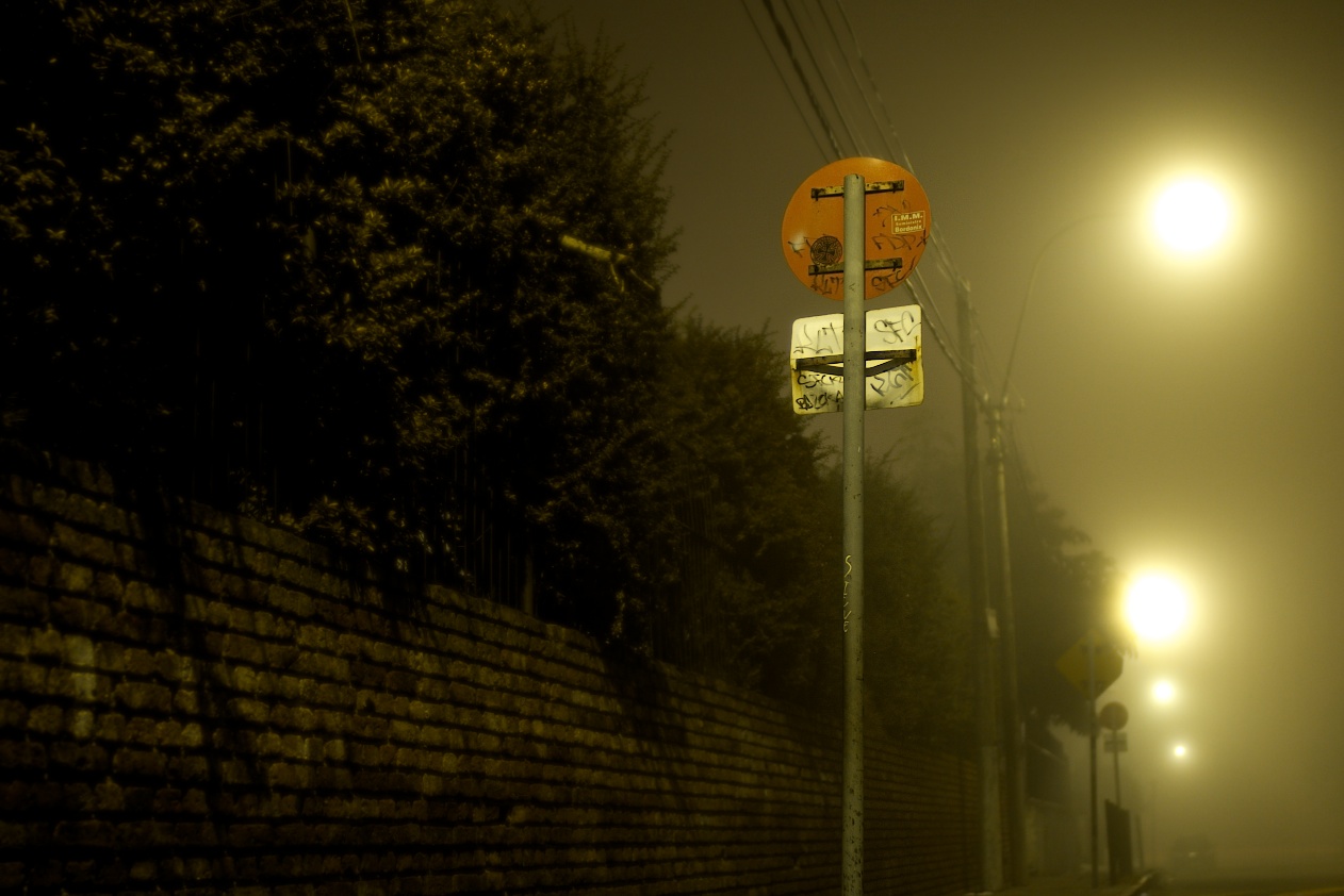 Paisaje en la neblina