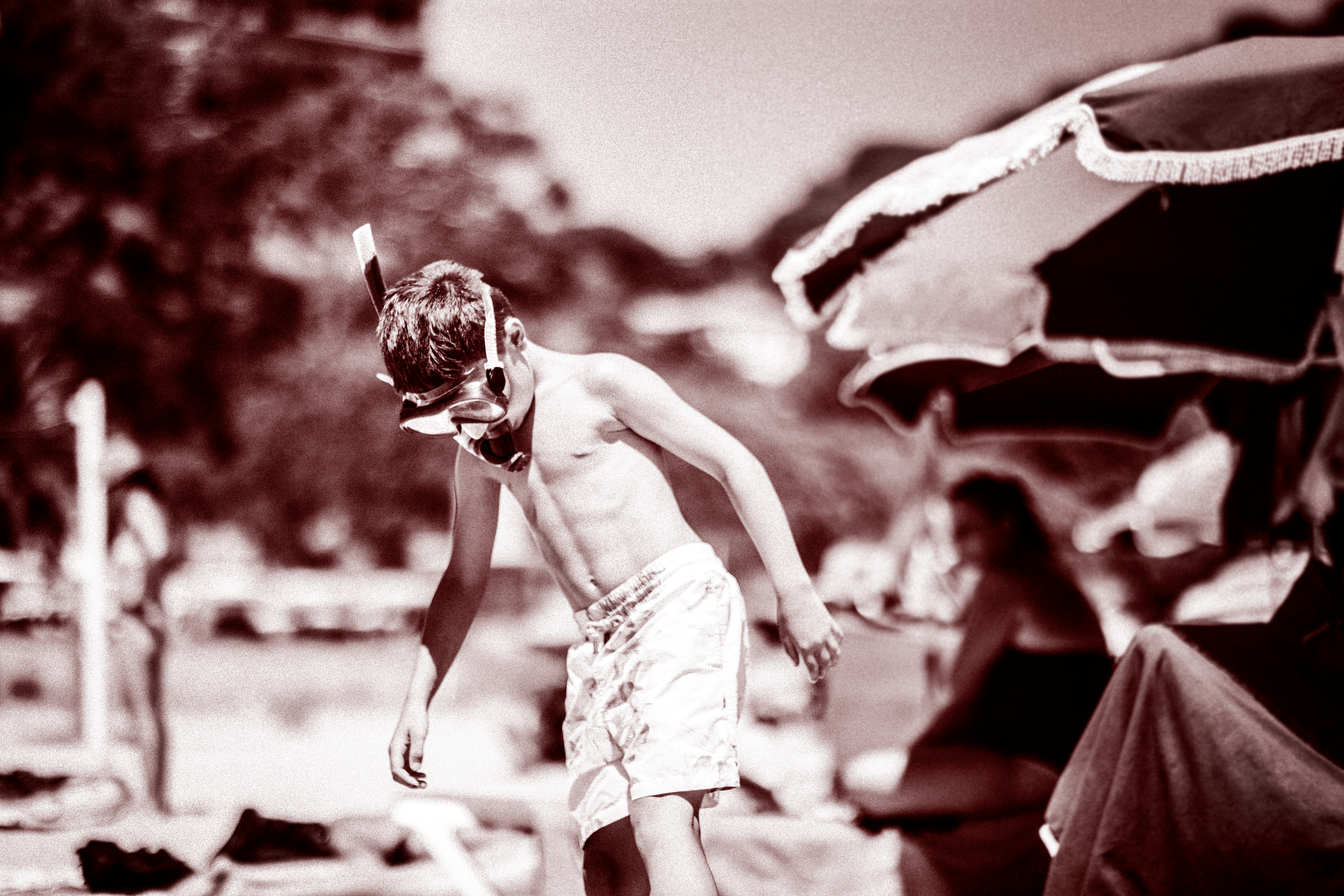 ancelot-el-nin%cc%83o-hormiga-1